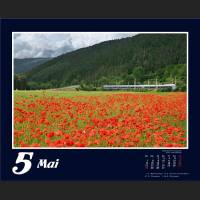 05 Kalender 2012 neu 2.jpg